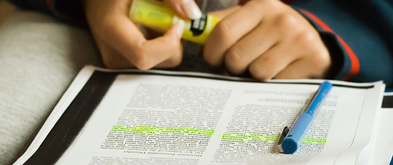 This image for Image Layouts addon